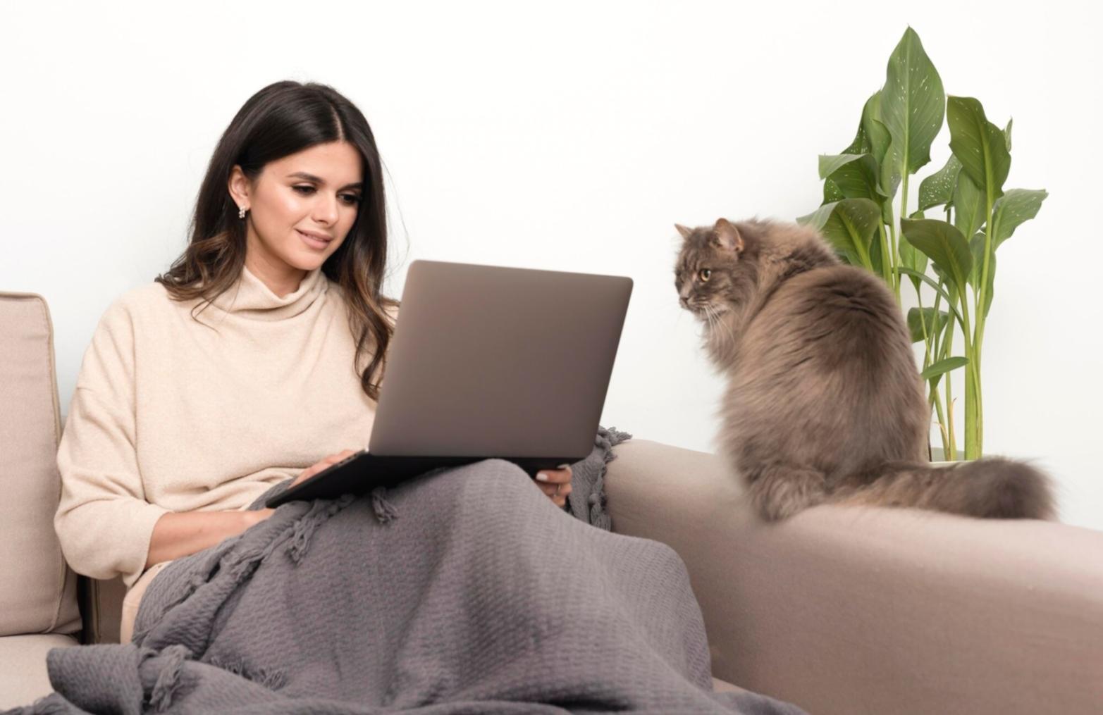 Praxisübungen zur Unternehmensanalyse